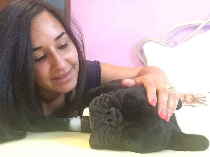 Il mio primo fai da te! - 1