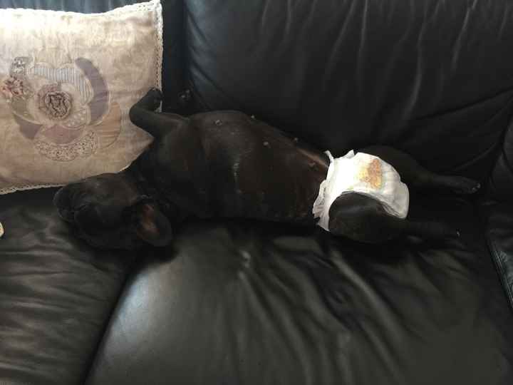 Il mio primo fai da te! - 2