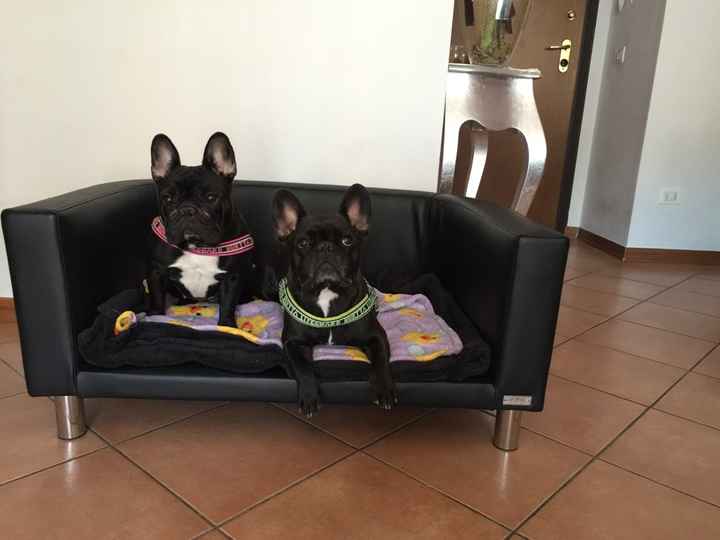 Pubblicate foto dei vostri mobili - 4