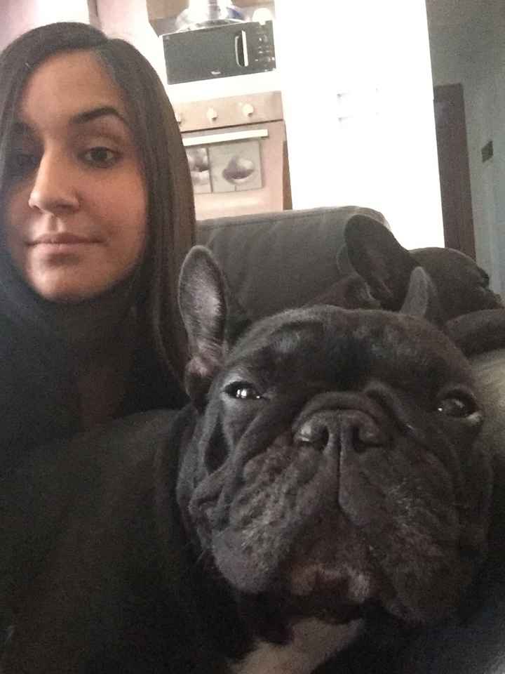 Animali domestici - 3