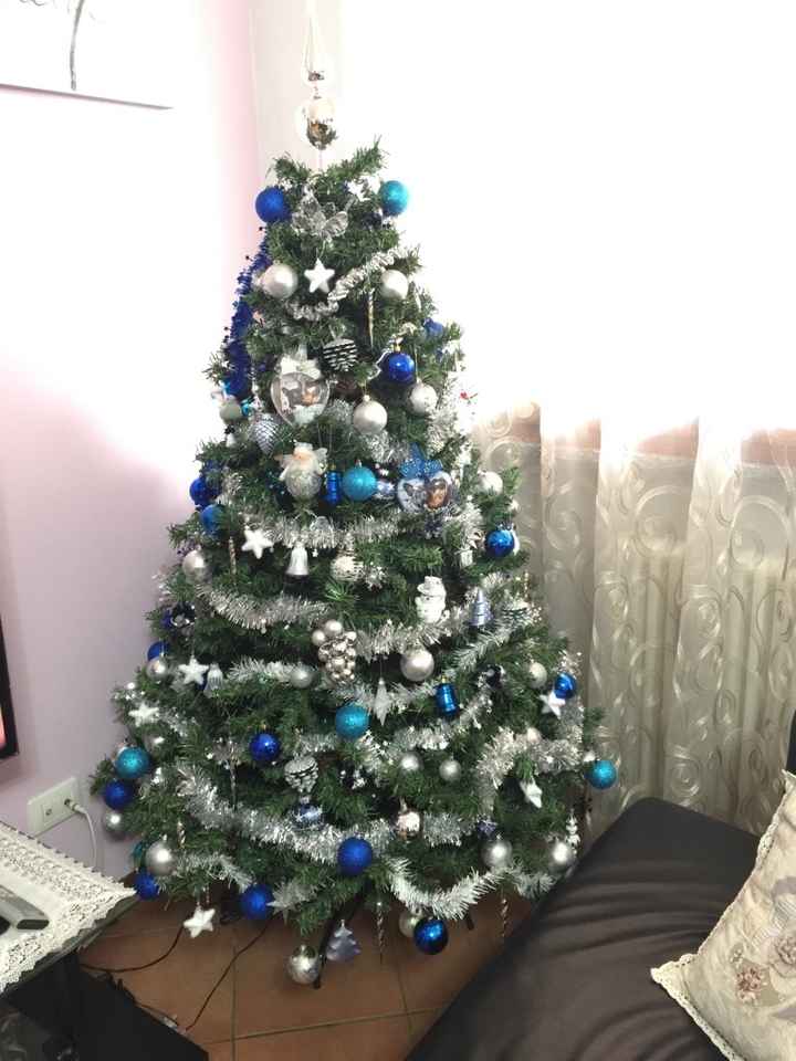 Ultimo anno di lavoro per il nostro alberello! - 1