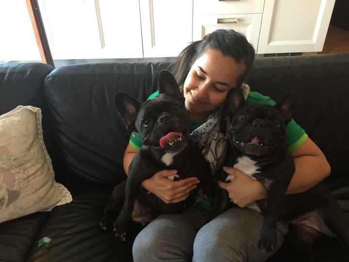 I nostri amici a 4 zampe - 1