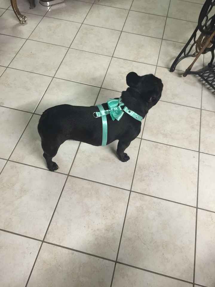 Tiffany anche per loro!!! - 1