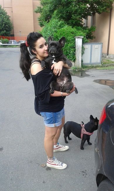 Ci sono bulletti??? - 2