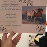 🎁 Partecipazioni: come saranno? ✔️❌ - 1