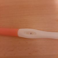 Falso ciclo, perdite da impianto o strano ciclo? - 1