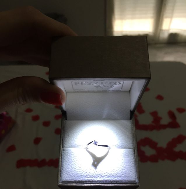 Proposta e anello di fidanzamento 11