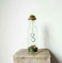 Portafedi! aiuto! - 2