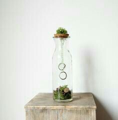 Portafedi! aiuto! - 2