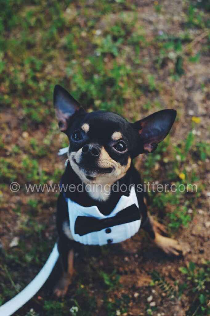 E saremo famiglia per sempre.buona visione - 2