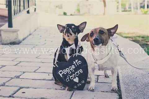 E saremo famiglia per sempre.buona visione - 3