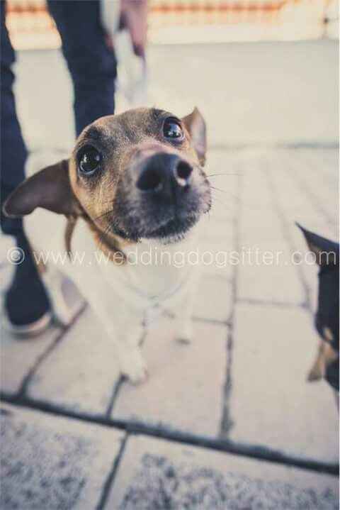 E saremo famiglia per sempre.buona visione - 4