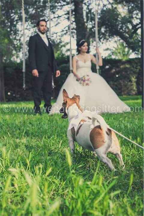 E saremo famiglia per sempre.buona visione - 5