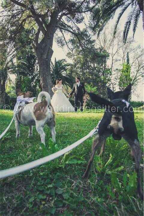 E saremo famiglia per sempre.buona visione - 6