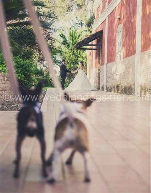 E saremo famiglia per sempre.buona visione - 7