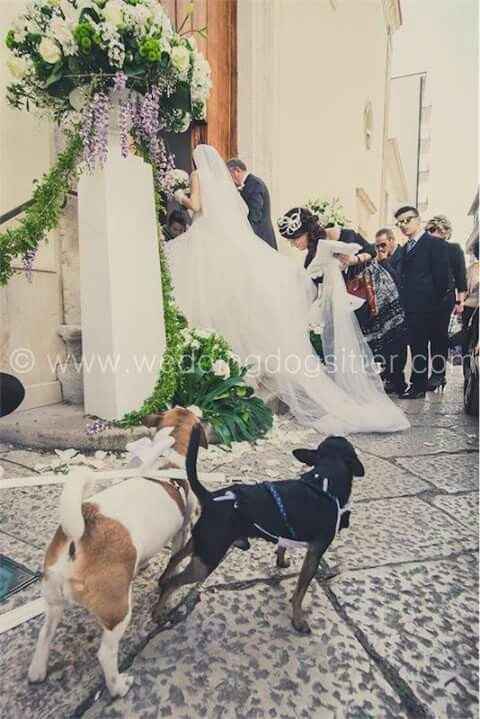 E saremo famiglia per sempre.buona visione - 8