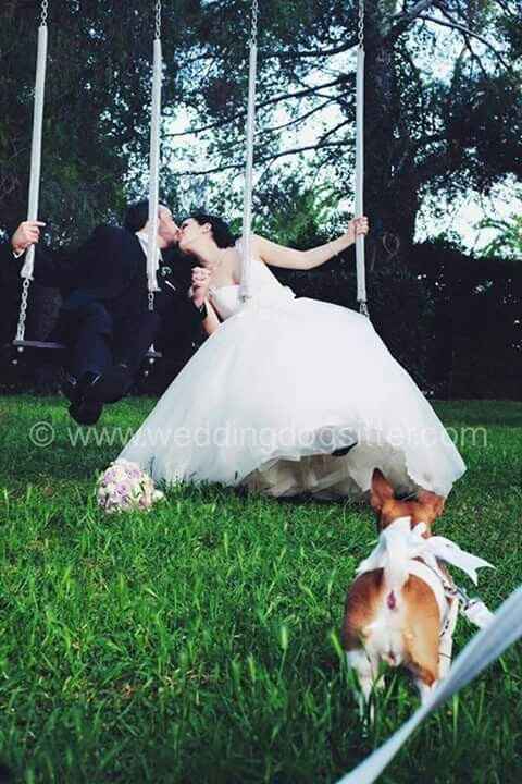 E saremo famiglia per sempre.buona visione - 10