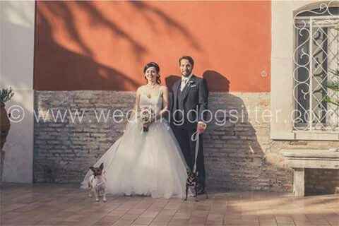 E saremo famiglia per sempre.buona visione - 11