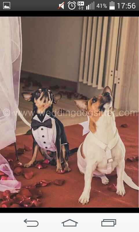 E saremo famiglia per sempre.buona visione - 13