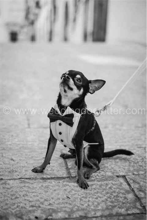 E saremo famiglia per sempre.buona visione - 4