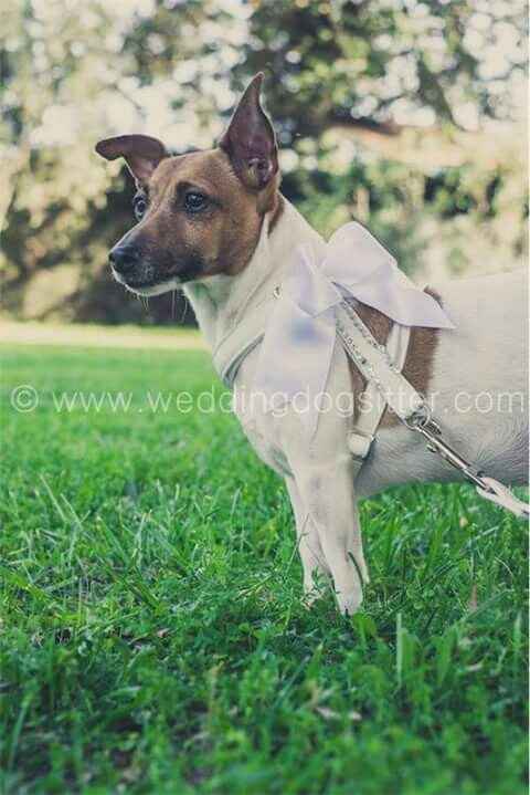 E saremo famiglia per sempre.buona visione - 5