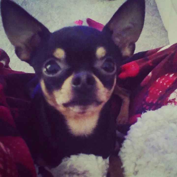 Mamme di maggio 2017 - 2