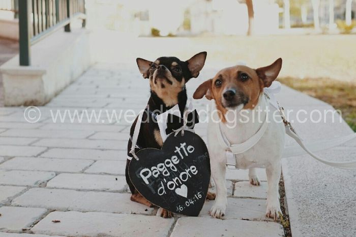 La nostra favola - 8