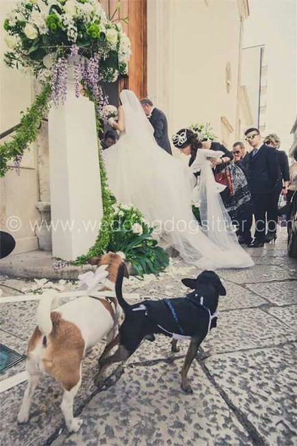 E saremo famiglia per sempre.buona visione - 8
