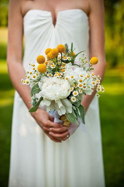 bouquet camomilla