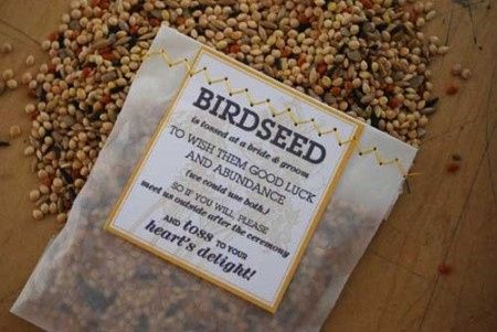 alternativa al riso: lancio semi per uccellini