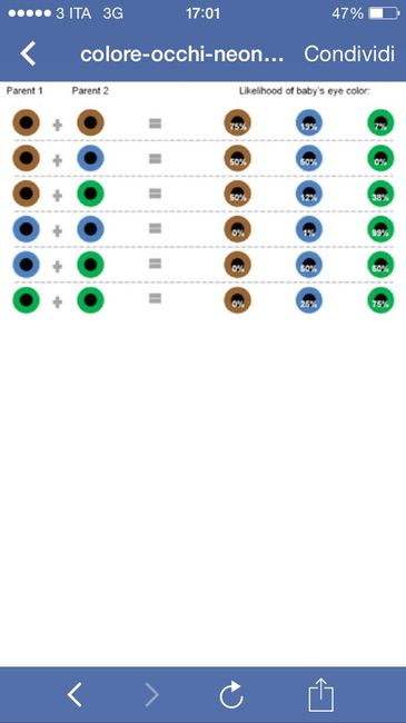 Probabilita' nascituro occhi chiari - 1