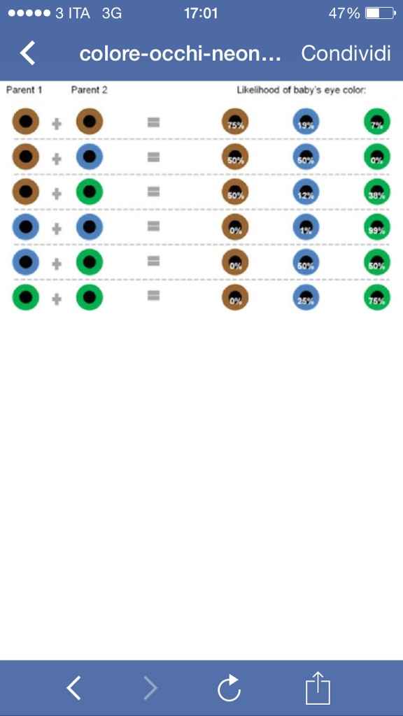 Probabilita' nascituro occhi chiari - 1