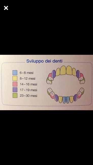 Mesi e dentini - 1