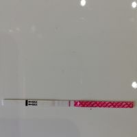 Test di ovulazione come test di gravidanza - 1