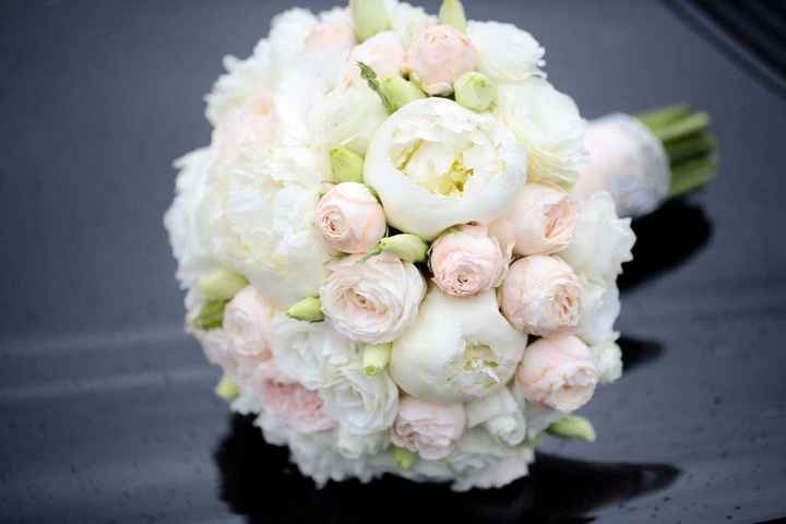  Fiori 💐💐 - 1