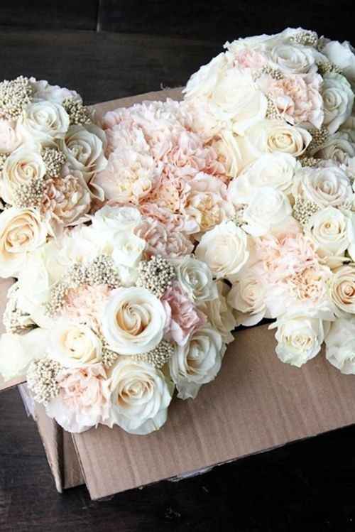  Fiori 💐💐 - 2