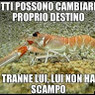 Maurizio