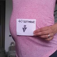 Fuori le panze!!! - 1