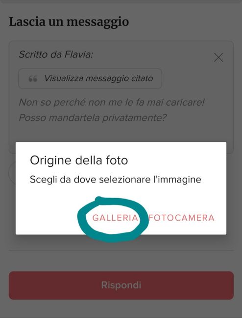 Dilemma tricologico 2