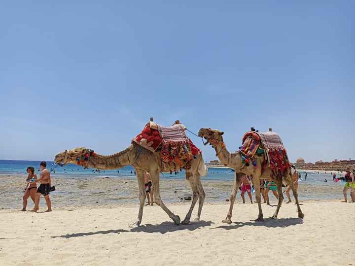 Viaggio a Marsa Alam 😍😍😍 - 4
