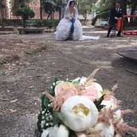 Finalmente sposi - 7