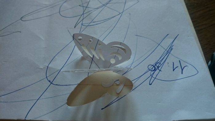 Fustellatrice farfalle :) - 3
