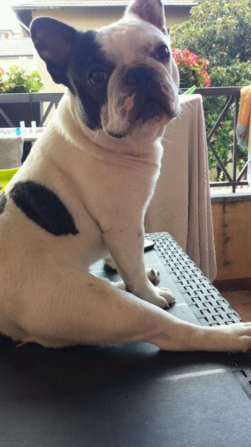 Ci sono bulletti??? - 1