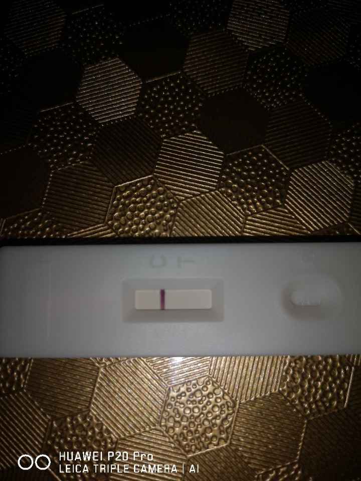 Differenze tra ghost line e linea chiara? - 1