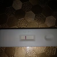 Differenze tra ghost line e linea chiara? - 1