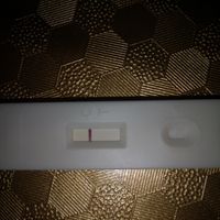 Differenze tra ghost line e linea chiara? - 1