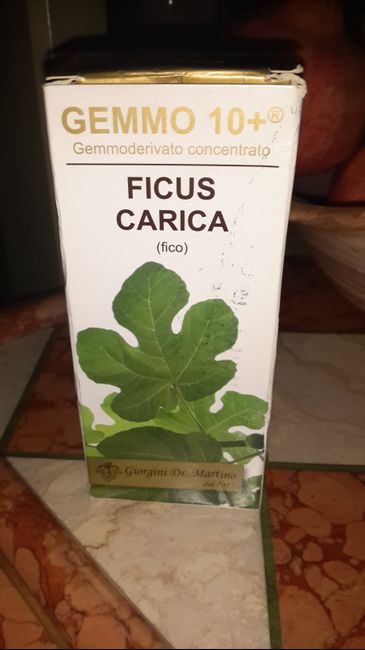 ficus carica