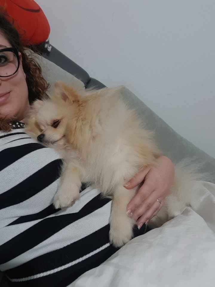 Noi e i nostri amici 4 zampe - 2