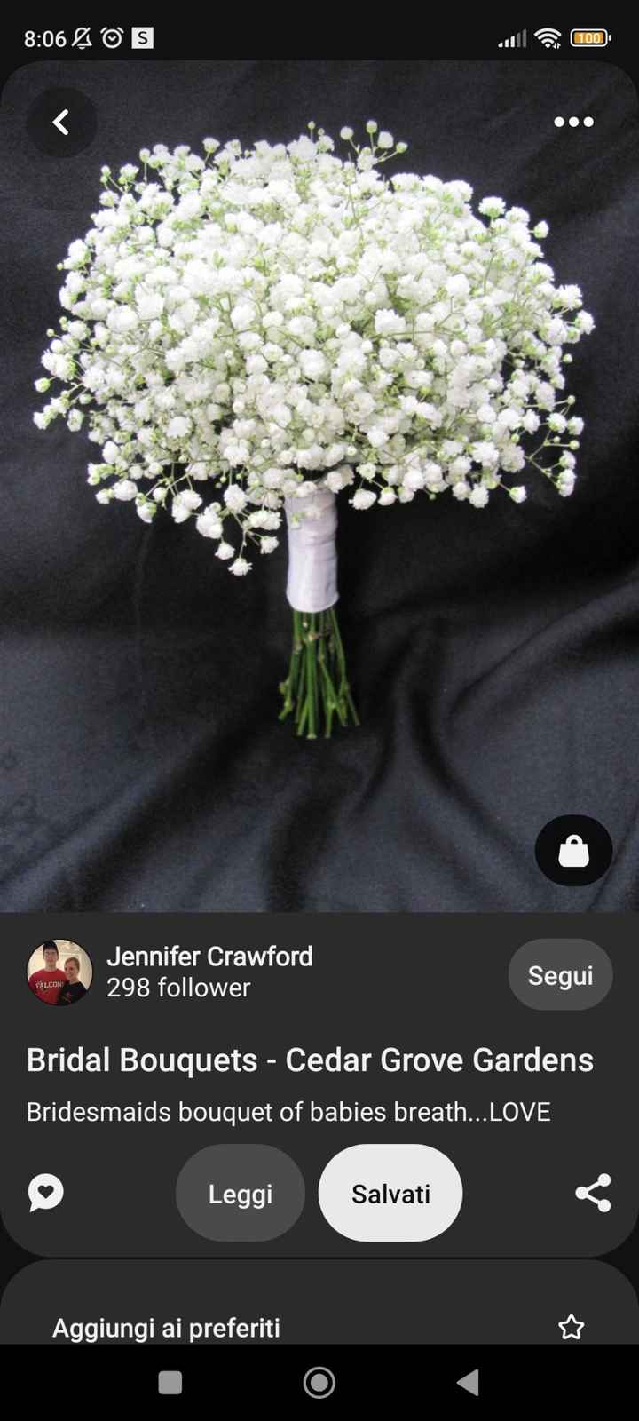 Gypsophila (nebbiolina) - Fai da te - Forum Matrimonio.com