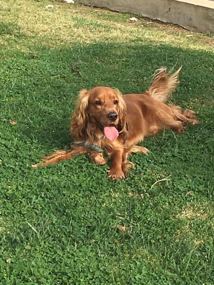 Se non ci fossero loro... - 1